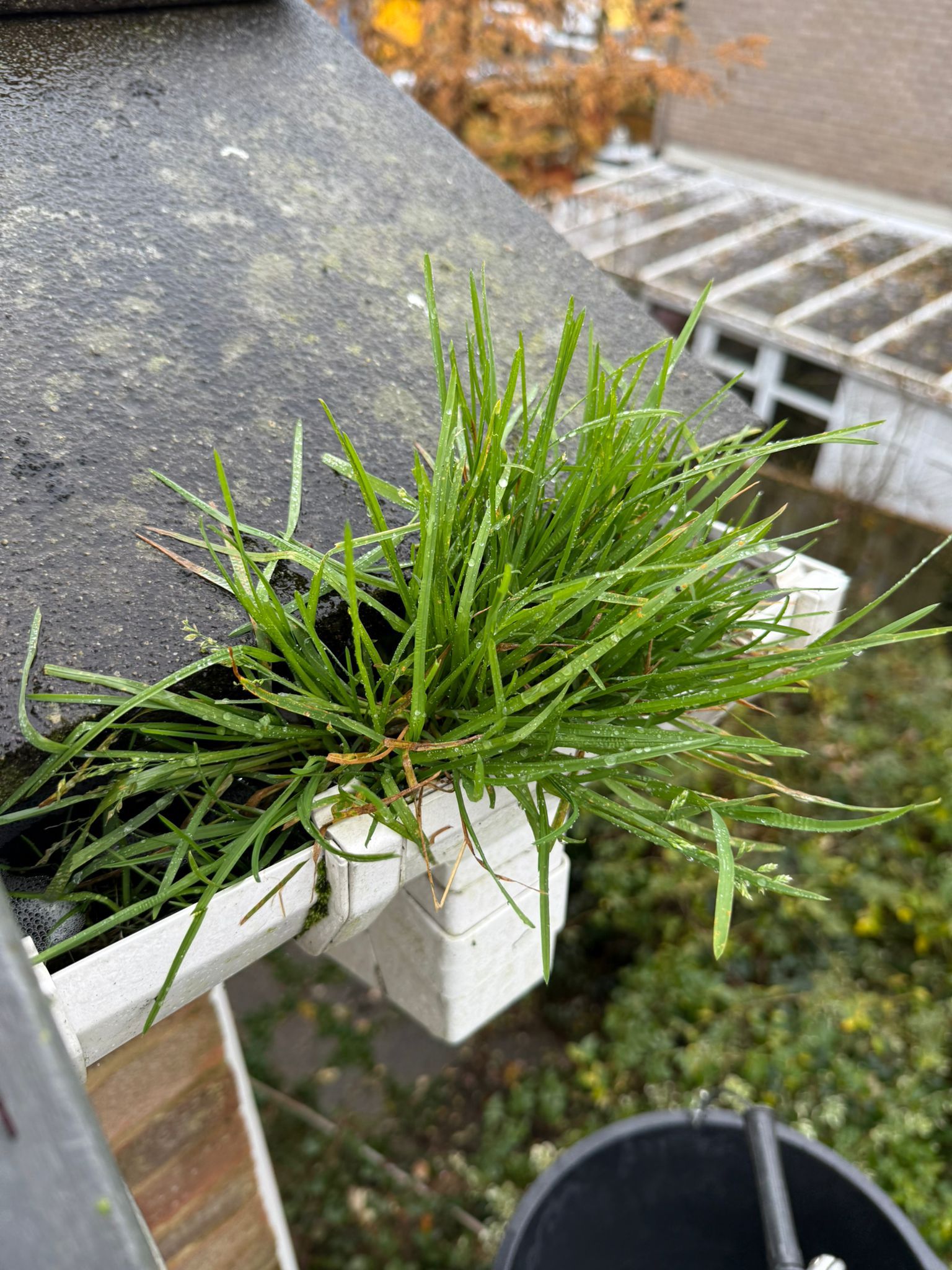 Blocked gutter downpipe in North Finchley